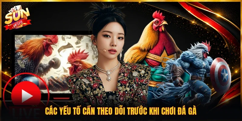 Các yếu tố cần theo dõi trước khi chơi đá gà