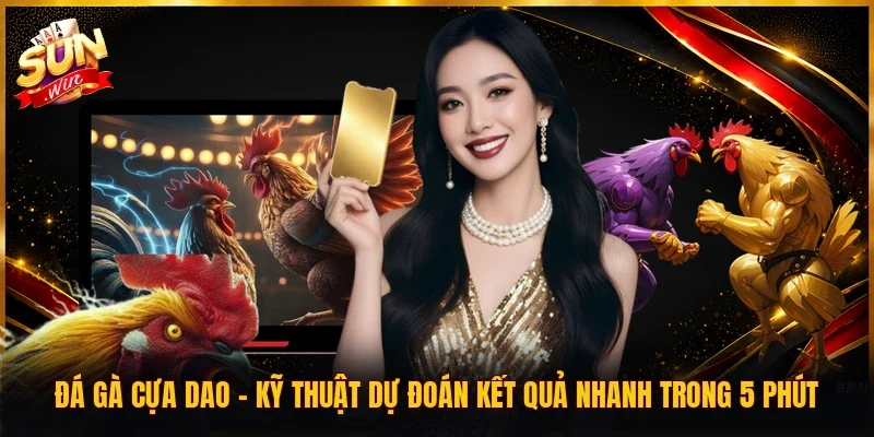Đá gà cựa dao