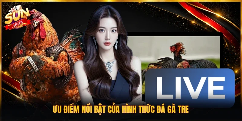 Ưu điểm nổi bật của hình thức đá gà tre