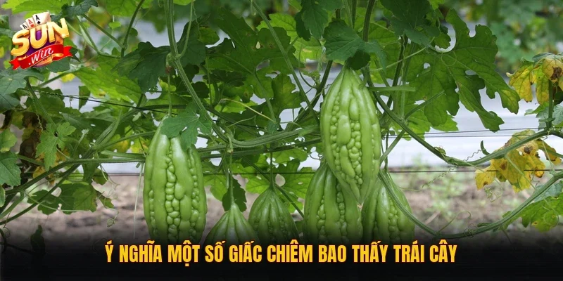 Ý nghĩa một số giấc chiêm bao thấy trái cây